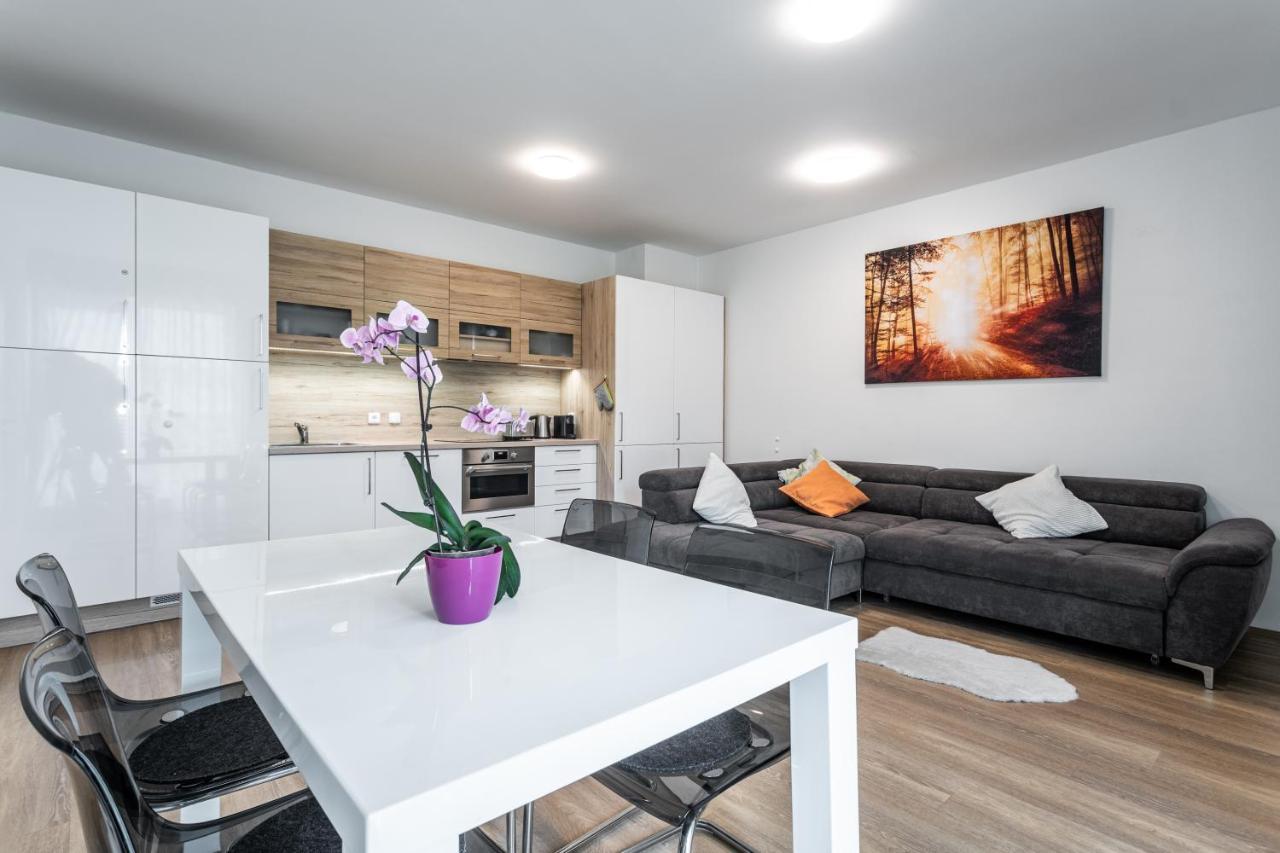 Mountain Apartments Klinovec Hexagon Loučná pod Klínovcem Εξωτερικό φωτογραφία